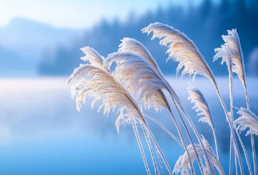 湖南发布寒潮水产养殖应对技术措施，全力保障渔业生产安全