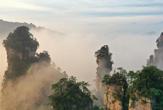 时刻回ing丨网友建言湖南申请入境免签试点，省文旅厅回应
