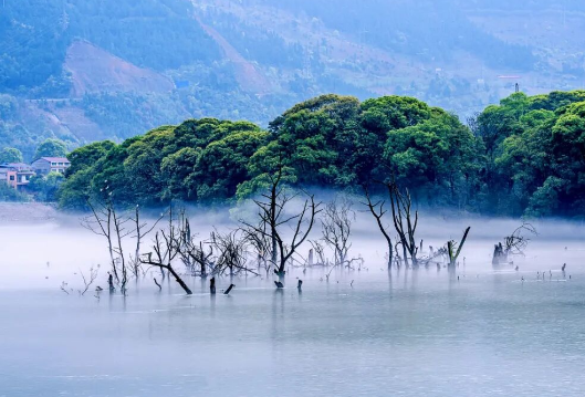“湘超”夺冠后，永州今天凌晨官宣→