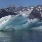 海冰融化致冰面缩小 挪威北极熊“变胖了”