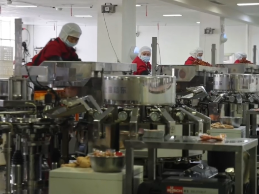 千城百县看中国｜湖南武冈：节后生产忙 奋战开新局