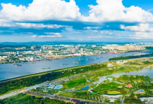 评论区亮了丨马年，要做那个“早起的马”，去抢那口“新鲜的草”