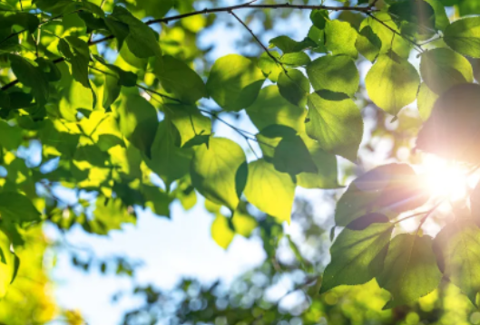 长沙升温时间定了！