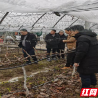 常德市农业农村局开展应对雨雪冰冻天气防灾抗灾救灾生产指导