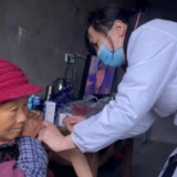 鼎城区镇德桥镇战疫情稳发展，人大代表“两不误”侧记