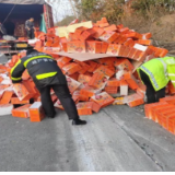 货车爆胎侧翻致“10吨”橙子散落高速路面，路管员变身“搬运工”保安全
