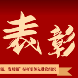 传承红色基因 望城经开区表彰先进集体和优秀个人