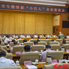 黎春秋在全市专精特新“小巨人”企业座谈会上强调 把握重点精准服务力求实效 全力推动中小企业专精特新发展