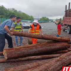 我为群众办实事丨5吨圆木侧翻成“拦路虎” 养护人员变身为“搬木工”