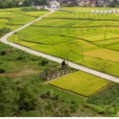 组图 | 疫苗接种送到村，筑牢抗疫“心”长城