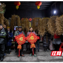 舞草龙 贴春联 送洪福 ，千年古城寻年味，一个字“香”