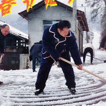 海报｜扫的不是雪 是春节返乡的路