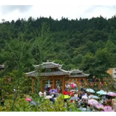 通道县供电公司：开展常态化防山火巡视