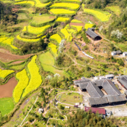 铺就振兴路 绽放幸福花  ——五凌电力驻沅陵县江溪口村乡村振兴帮扶工作纪实