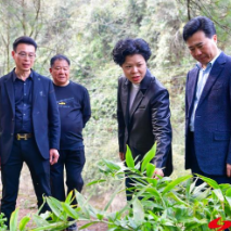 张迎春在怀调研时要求 扛起粮食生产责任抓好春耕生产 完善利益联结机制助推振兴发展 黎春秋参加