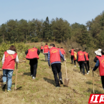 湖南沅陵：雷锋精神闪耀新时代 文明实践之花开遍地