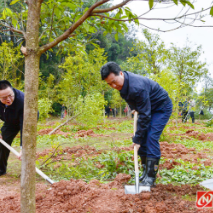 创国家森林城市 建怀化绿色家园 黎春秋王建球李万千印宇鹰等参加义务植树活动