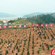 湖南沅陵：开展义务植树 共建森林城市