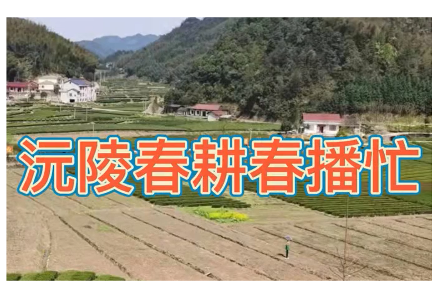 阳春三月 沅陵春耕春播忙