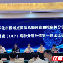 怀化市医疗保障系统召开DIP病种分组分值第一轮论证会