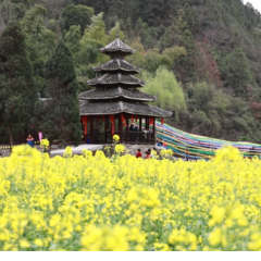 通道：以节为媒，创新产业发展新路径