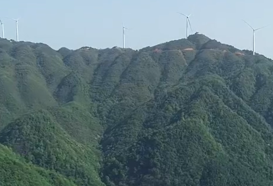 麻阳西晃山：葱绿茵茵  花香满山