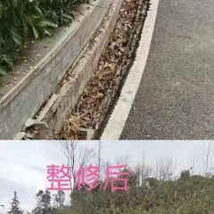 怀化：政协委员积极提交“微建议” 有力解决身边群众“急难愁盼”