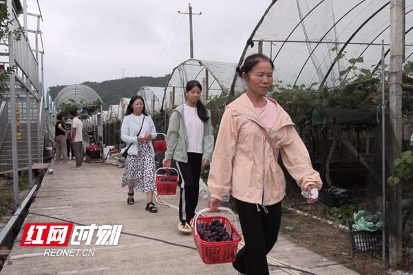 微信图片_20240813172146_副本_副本.jpg