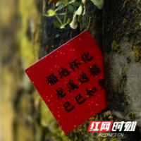 新春走基层 | 大年初一   上百人在新晃龙溪古镇迎“福”年  