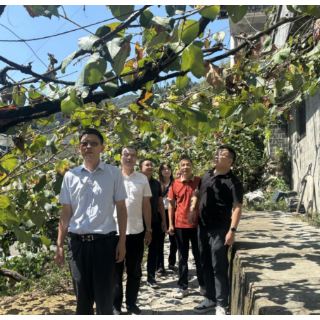 履职在一线·委员工作室丨以乡村“七彩”农业振兴 助推县域农文旅融合发展