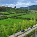 非凡十四五•沅陵⑤ | 山河织锦处乡土焕新章——沅陵县“十四五”农业农村工作走笔