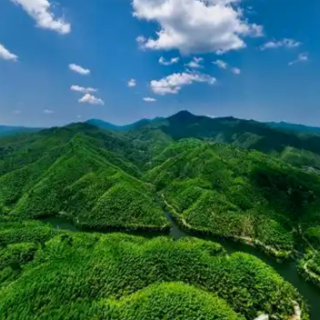 “十四五”会同答卷②丨绿水青山变金山银山 绿色发展底色明显