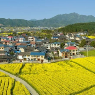 “十四五”会同答卷③丨机制创新促振兴 和美乡村展新颜