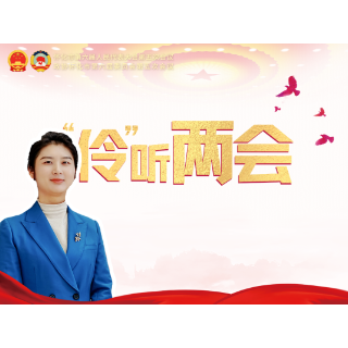 “伶”听两会④丨躬身践使命 实干绘新篇