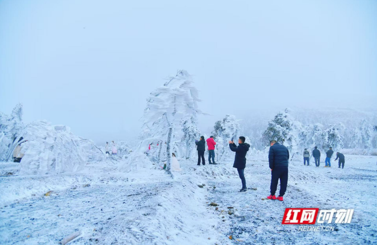 海报 | 在怀化   冰天雪地更迎春