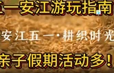 安江五一·耕织时光