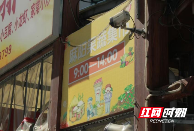 湖师大公管院暑期“三下乡”：从蔬菜基地到“慢火车”的乡村振兴实践