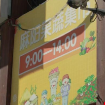 湖师大公管院暑期“三下乡”：从蔬菜基地到“慢火车”的乡村振兴实践