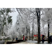 靖州飞山雾凇美如画