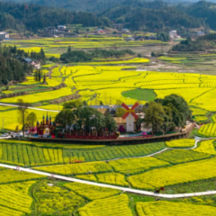 闲置村小长出童话城堡 ——会同“稻梦小镇”的“小而美”探索