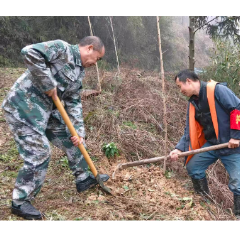 新晃县鱼市镇开展2026年义务植树活动