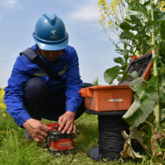 春风十里 信号满格!会同电信硬核保障湖南省“油菜花节”主会场开幕