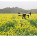 中方：千亩花海开展飞防作业 科技管护保增收