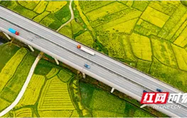 组图 | 车在高速行，人似画中游