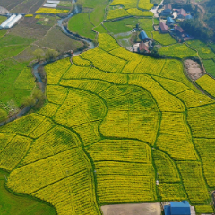 组图 | 中方县:春启泸阳 花绘振兴