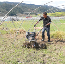 会同春耕备耕忙！大棚育秧旺，新品油菜助增收