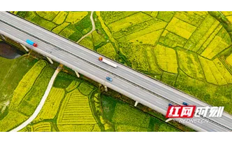 春暖五溪！沿着怀化高速邂逅金色花海