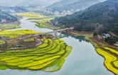 辰溪长田湾库区水位上涨造奇景：“水中花海”引客来
