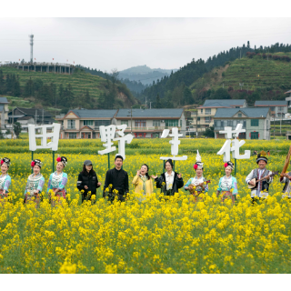万亩花海作舞台 全国“四季村歌”主场活动在湖南会同启幕