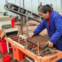 组图丨中方：稻田耕作农事忙